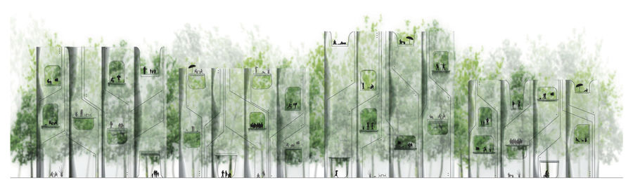 transparentne kuće šumskog grada