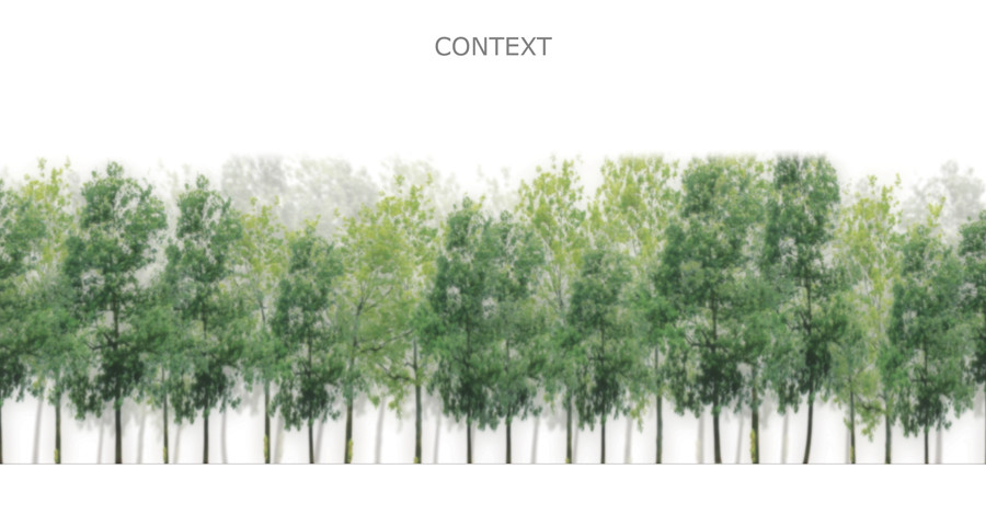 šuma kao kontekst
