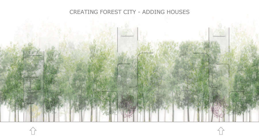 stvaranje šumskog grada