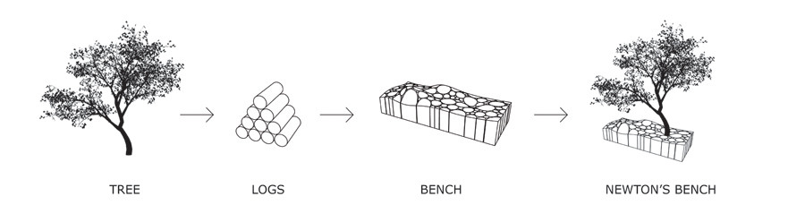 development of Newton's bench
